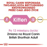Royal Canin British Shorthair Cucciolo gatti cibo secco 2 kg Pollame Riso Verdura