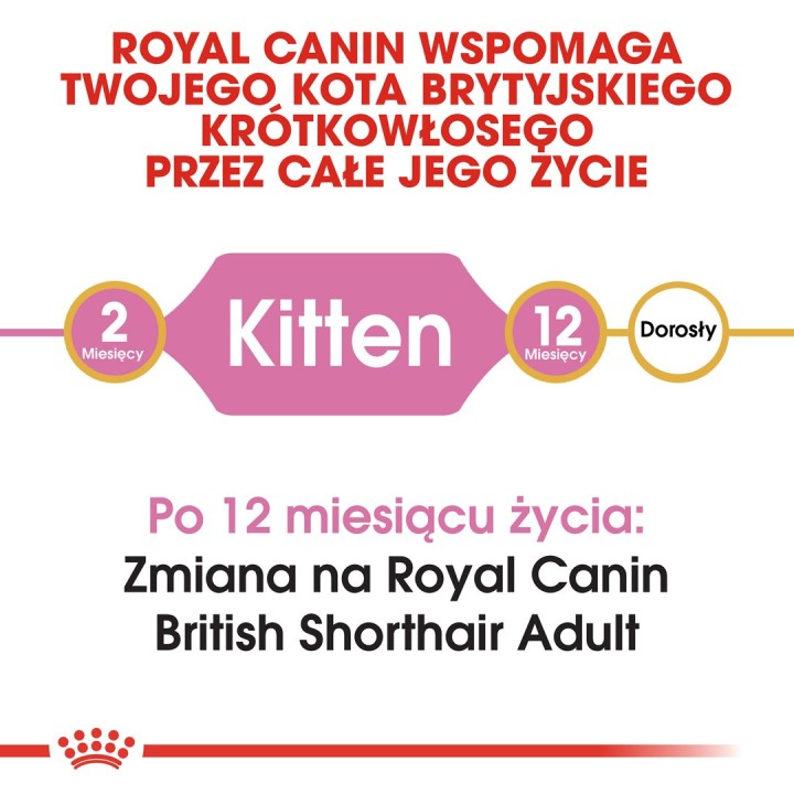 Royal Canin British Shorthair Cucciolo gatti cibo secco 2 kg Pollame Riso Verdura