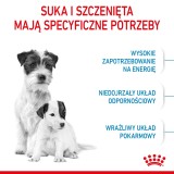 Royal Canin Mini Starter Mother & Babydog Adult Pollame 1 kg