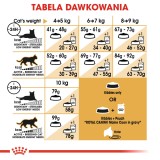 Royal Canin FBN Maine Coon Adult - cibo secco per gatti adulti - 4kg