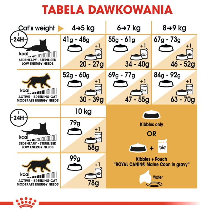 Royal Canin FBN Maine Coon Adult - cibo secco per gatti adulti - 4kg