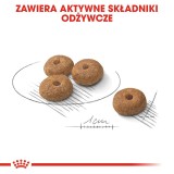 Royal Canin CCN MINI STERILISED - cibo secco per cani adulti - 8kg