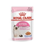 Royal Canin FHN Kitten Instinctive in salsa - cibo umido per gattini - 12x85g