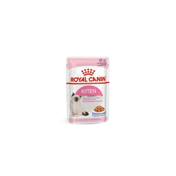 Royal Canin FHN Kitten Instinctive in salsa - cibo umido per gattini - 12x85g