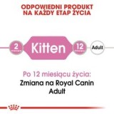 Royal Canin FHN Kitten Instinctive in salsa - cibo umido per gattini - 12x85g