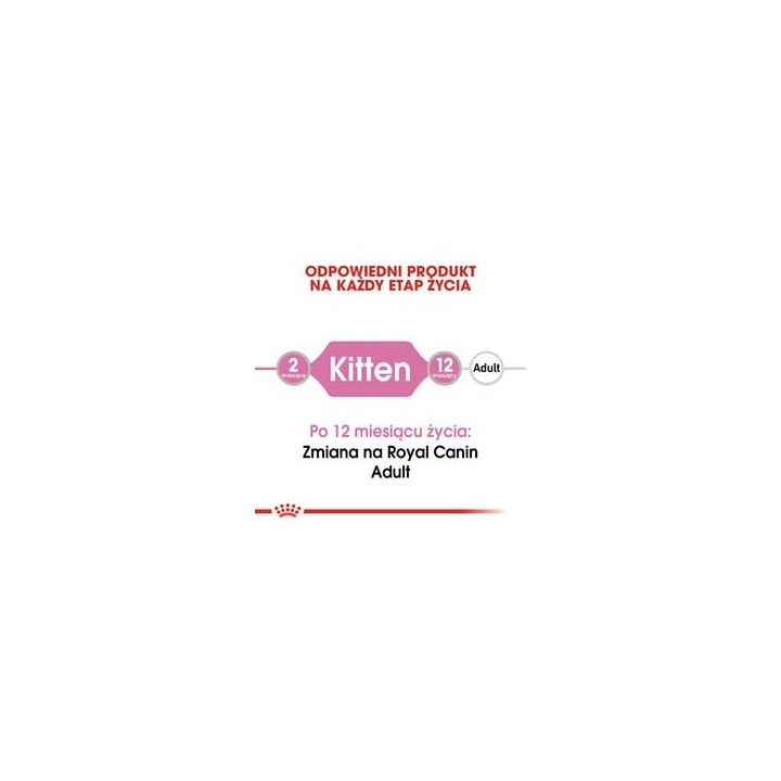 Royal Canin FHN Kitten Instinctive in salsa - cibo umido per gattini - 12x85g