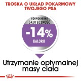 Royal Canin CCN MINI STERILISED - cibo secco per cani adulti - 8kg