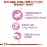 Royal Canin FHN Kitten Instinctive in salsa - cibo umido per gattini - 12x85g