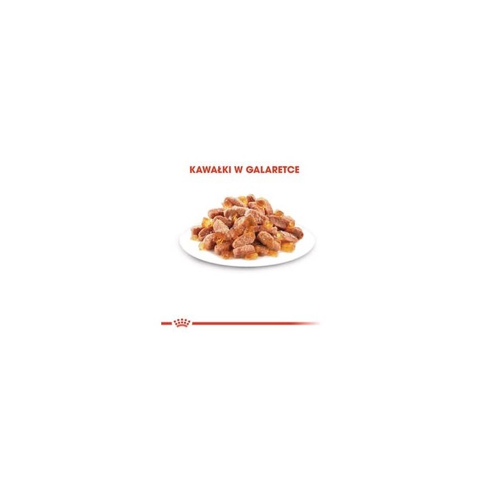 Royal Canin FHN Kitten Instinctive in salsa - cibo umido per gattini - 12x85g