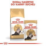 Royal Canin Persian cibo secco per gatti 4 kg Adult Mais Pollame