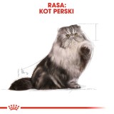 Royal Canin Persian cibo secco per gatti 4 kg Adult Mais Pollame