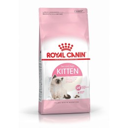 Royal Canin FHN Kitten - cibo secco per gattini - 4kg