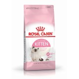 Royal Canin FHN Kitten - cibo secco per gattini - 4kg
