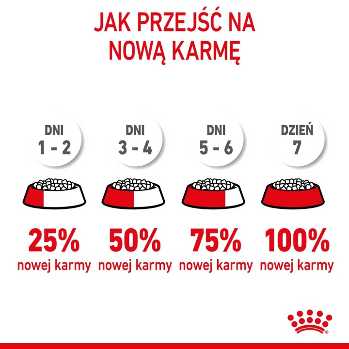 Royal Canin FHN Kitten - cibo secco per gattini - 4kg