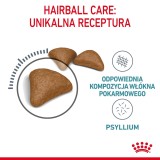 Royal Canin Hairball Care cibo secco per gatti 2 kg