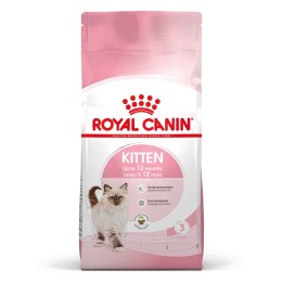 Royal Canin Kitten cibo secco per gatti 10 kg