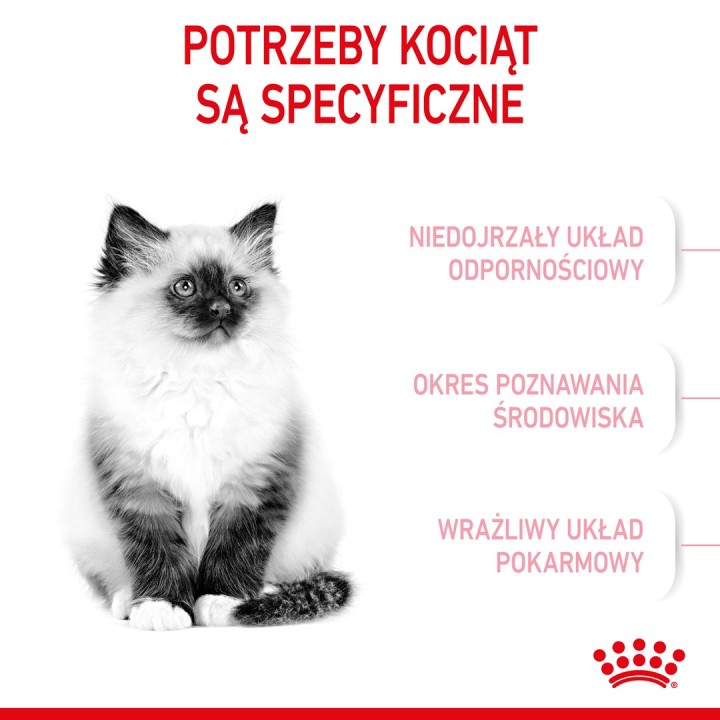 Royal Canin Kitten cibo secco per gatti 10 kg