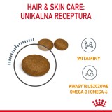 Royal Canin Hair & Skin Care Adult cibo secco per gatti 2 kg