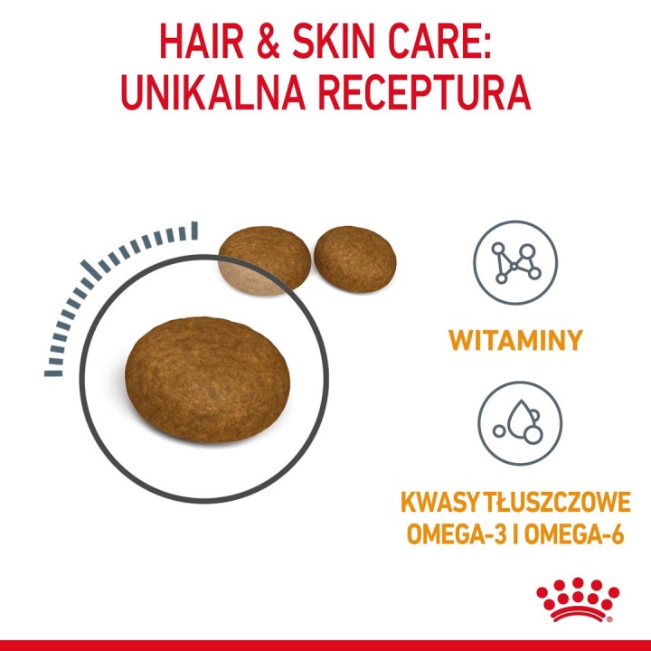 Royal Canin Hair & Skin Care Adult cibo secco per gatti 2 kg