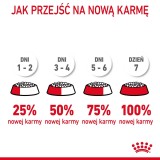 Royal Canin Hair & Skin Care Adult cibo secco per gatti 2 kg