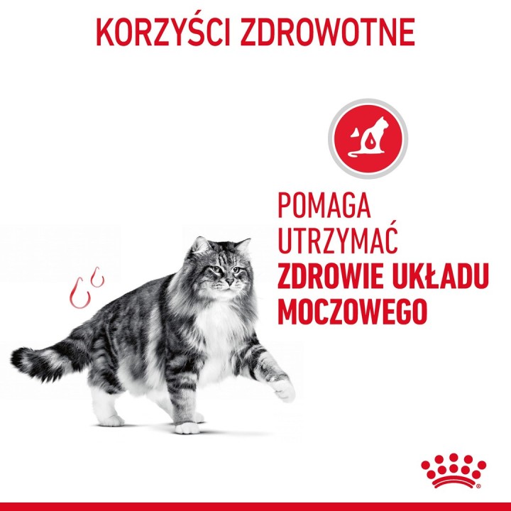 Royal Canin Cura Urinaria cibo secco per gatti 10 kg