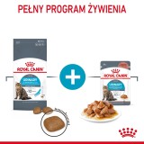 Royal Canin Cura Urinaria cibo secco per gatti 10 kg