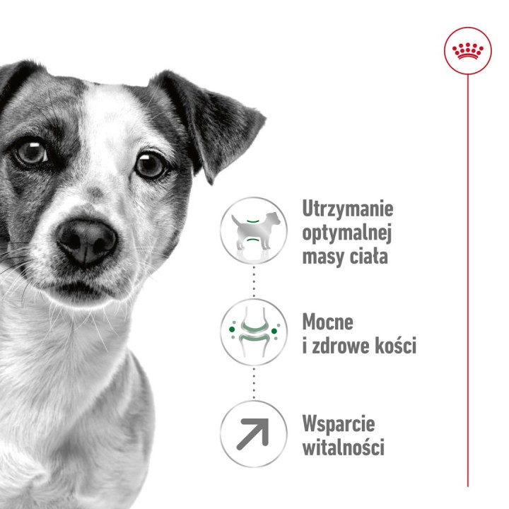 Royal Canin Mini Adult 8+ 8 kg Senior pollame riso verdura