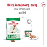 Royal Canin Mini Adult 8+ 8 kg Senior pollame riso verdura