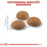 Royal Canin Outdoor cibo secco per gatti 2 kg