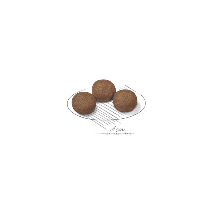 Royal Canin Medium Cucciolo 15 kg Verdura
