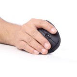 Gembird MUSW-ERGO-01 Mouse Destrorso RF Wireless Ottico 1600 DPI