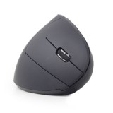 Gembird MUSW-ERGO-01 Mouse Destrorso RF Wireless Ottico 1600 DPI