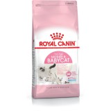 Royal Canin Mother & Babycat cibo secco per gatti 2 kg