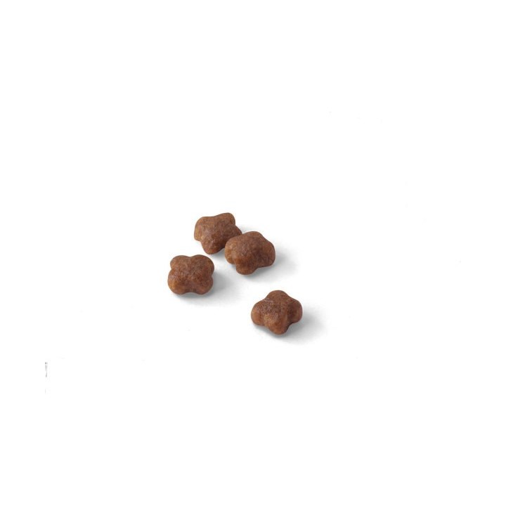 Royal Canin Mother & Babycat cibo secco per gatti 2 kg