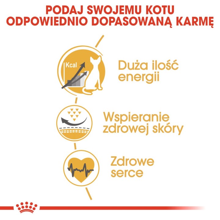 Royal Canin Sphynx cibo secco gatti 2 kg