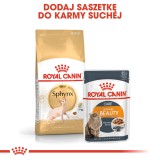 Royal Canin Sphynx cibo secco gatti 2 kg