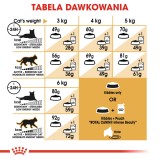 Royal Canin Sphynx cibo secco gatti 2 kg