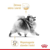 Royal Canin Pomeranian Adult - cibo secco per cani - 3 kg