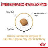 Royal Canin Pomeranian Adult - cibo secco per cani - 3 kg