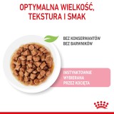 Royal Canin Sterilizzato in salsa 12x85g
