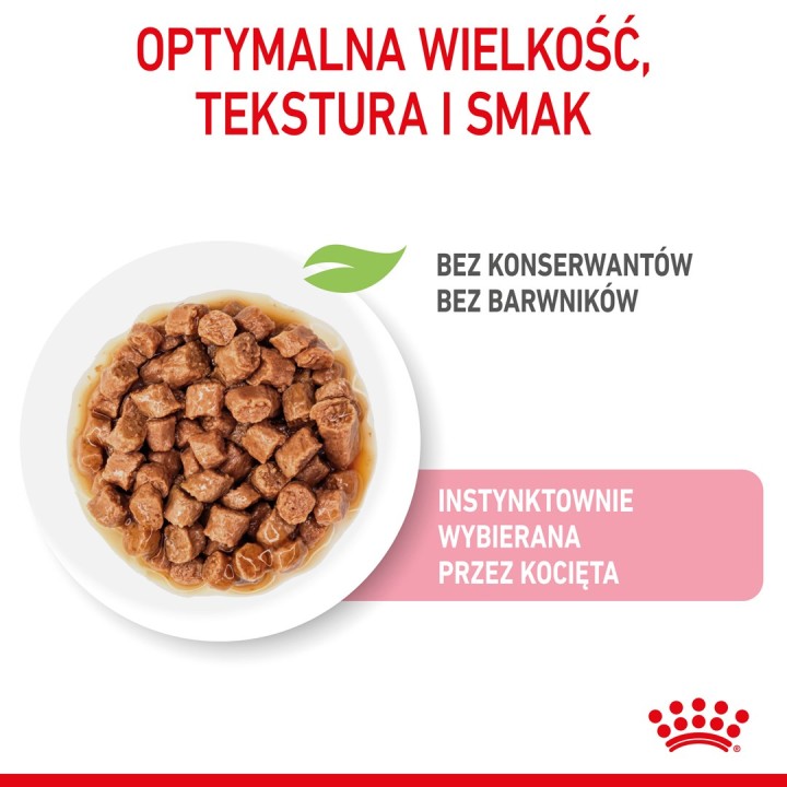 Royal Canin Sterilizzato in salsa 12x85g