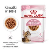 Royal Canin Sterilizzato in salsa 12x85g