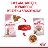 Royal Canin Sterilizzato in salsa 12x85g
