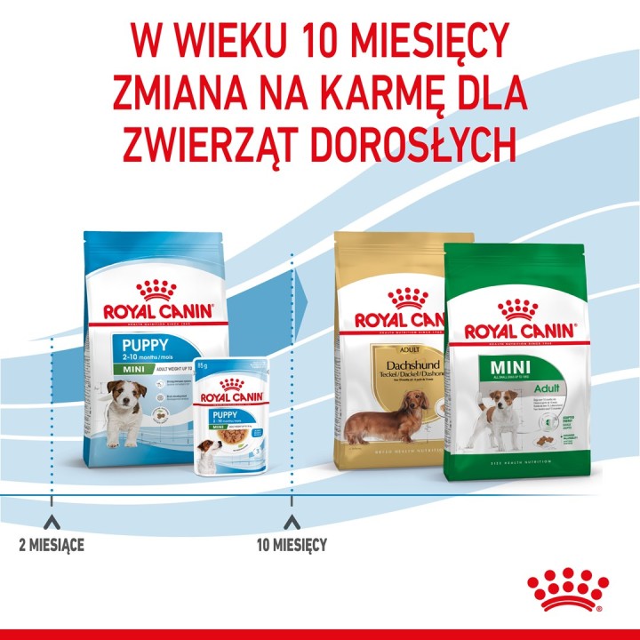 Royal Canin SHN Mini Cucciolo - cibo secco per cuccioli - 4kg