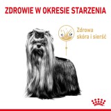 Royal Canin Yorkshire Ageing 8+ - cibo secco per cani anziani - 3kg