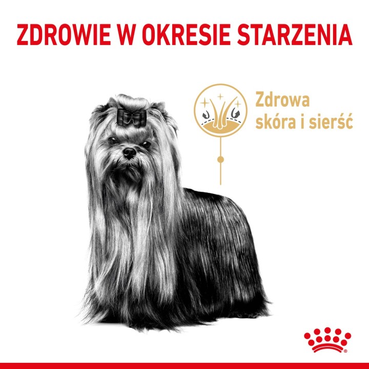 Royal Canin Yorkshire Ageing 8+ - cibo secco per cani anziani - 3kg