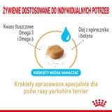 Royal Canin Yorkshire Ageing 8+ - cibo secco per cani anziani - 3kg