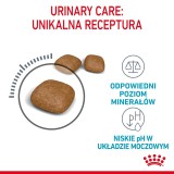 Royal Canin Cura Urinaria cibo secco per gatti 4 kg