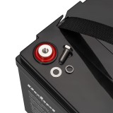 VIPOW Accumulatore al gel 12 V 100 Ah