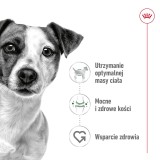 ROYAL CANIN Adult Mini S - cibo secco per cani - 4kg